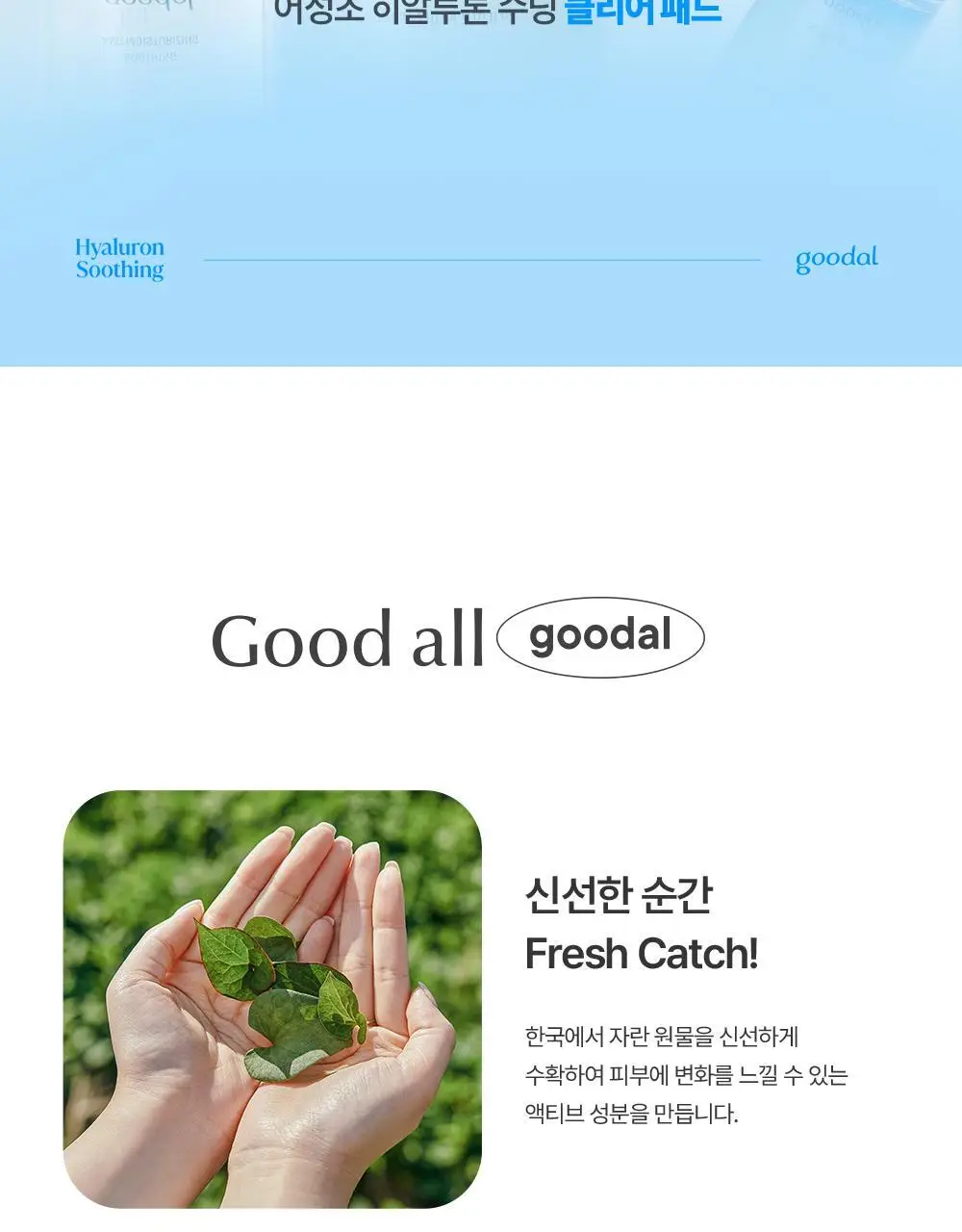 [단독 리필기획] 구달 어성초 히알루론 수딩 토너 350ml 리필 기획 (+350ml 리필) 상세페이지 31